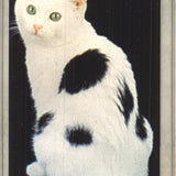 Lia Stein European Harlequin Bookmark