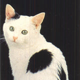 Lia Stein European Harlequin Bookmark