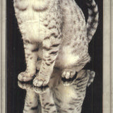 Lia Stein Mau Bookmark