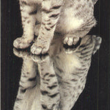 Lia Stein Mau Bookmark