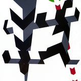 ALLAN D'ARCANGELO Munich Olympics, 1972