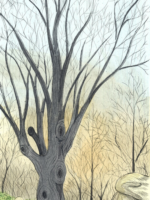 BORRIS SAILLART Barren Tree late Fall, 1975 - Signed