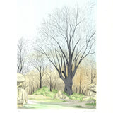 BORRIS SAILLART Barren Tree late Fall, 1975 - Signed