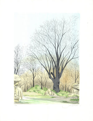 Descriptive image text