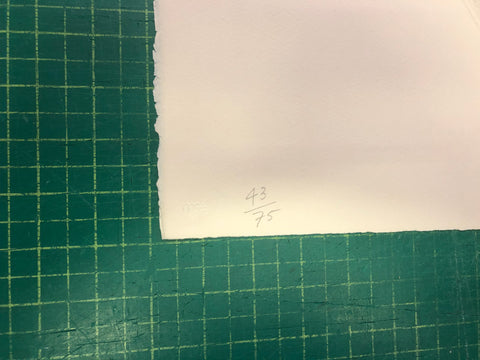 DAVID HOCKNEY Yves Marie with Flowers, 1974 - Signed