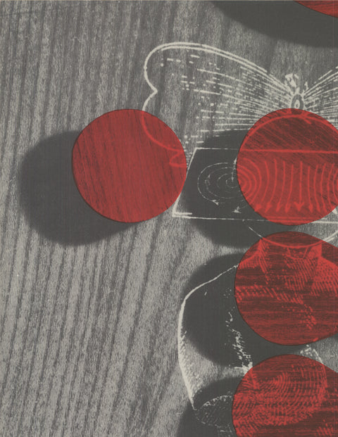 ARTIST UNKNOWN Internationale Sezession 1956, 1956