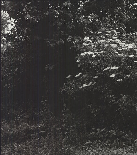 REINHARD MUCHA Kasse beim Fahrer, 1987