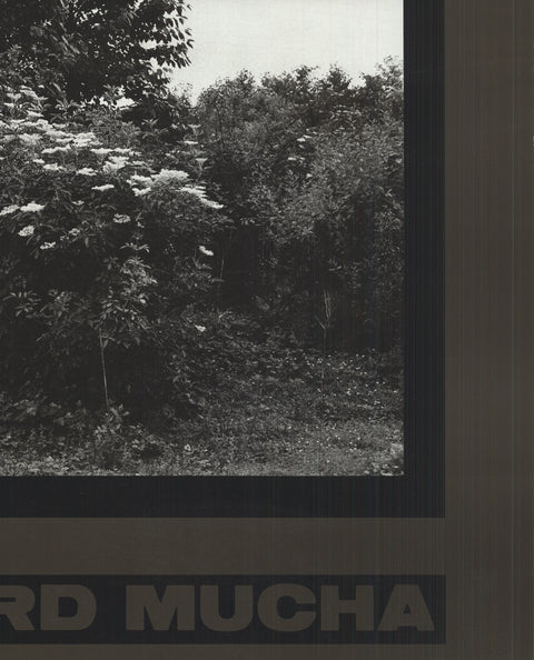 REINHARD MUCHA Kasse beim Fahrer, 1987