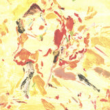 CECILY BROWN American Dance Festival, 2001 - Signed