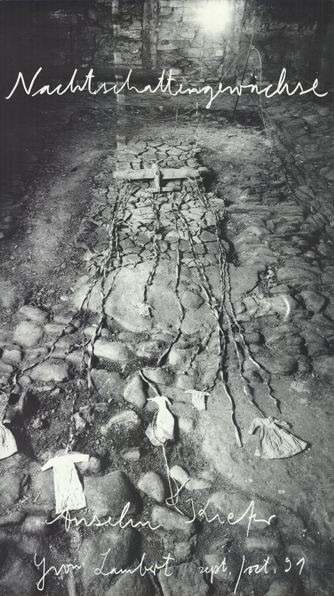 ANSELM KIEFER Yvon Lambert Gallery, 1991