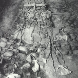 ANSELM KIEFER Yvon Lambert Gallery, 1991