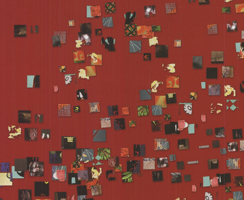 ARTIST UNKNOWN American Dance Festival- 25 Years, 2002