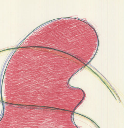 ELIZABETH MURRAY American Dance Festival 1980, 1980