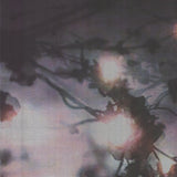 ENA SWANSEA American Dance Festival 1999, 1999