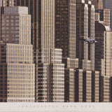 HANK GANS New York Helicopter, 2007