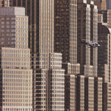 HANK GANS New York Helicopter, 2007