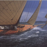 FRANCO PACE Mistral, 1997