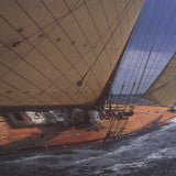 FRANCO PACE Mistral, 1997