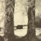 MARCO BERTIN Silence