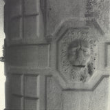 MARCO BERTIN Villa Pisani