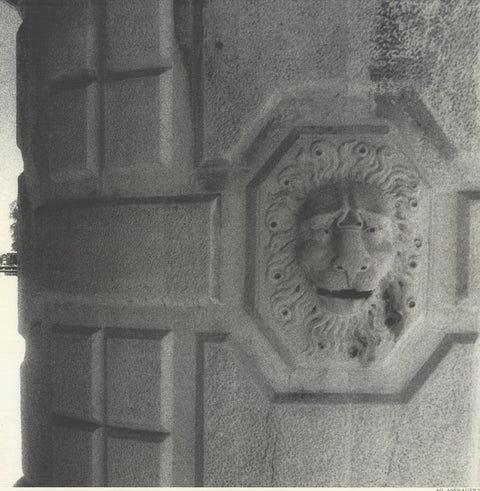 MARCO BERTIN Villa Pisani