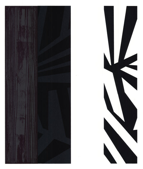 AAR Palatila, 2010 - Signed