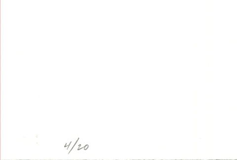 AAR Palatila, 2010 - Signed