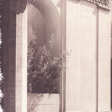 ALAN BLAUSTEIN Park Presidio, 1996 - Signed