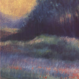 PATRICIA D'HOOGE MERAS Summer Evening, 2000