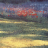PATRICIA D'HOOGE MERAS Summer Evening, 2000