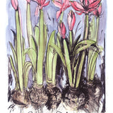 JIM DINE Anemones, 2004