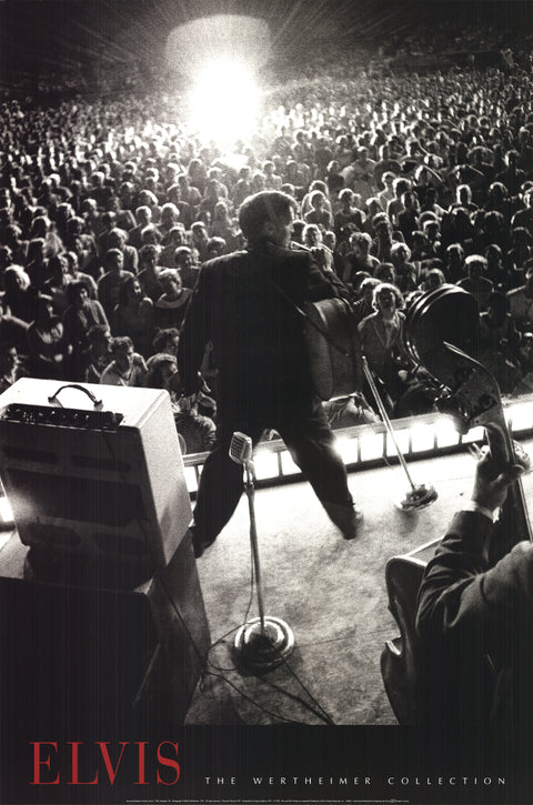 ALFRED WERTHEIMER Russwood Stadium Concert, July 4 1956, 1995