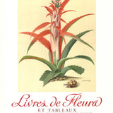 GEORG DIONYSIUS EHRET Flower Books and Paintings from the Plesch Botanical Foundation, 1958
