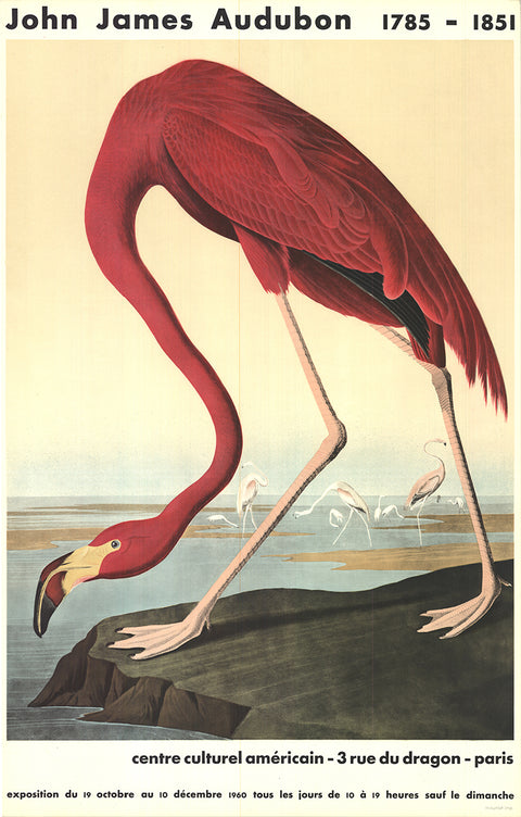 JOHN JAMES AUDUBON American Flamingo, 1960