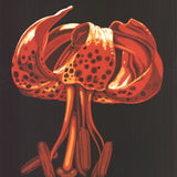 LOWELL NESBITT Lily, 1973 - Signed