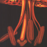 LOWELL NESBITT Lily, 1973 - Signed