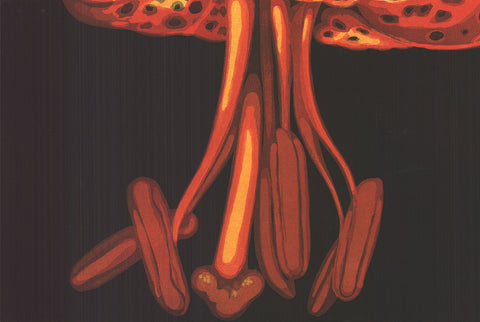 LOWELL NESBITT Lily, 1973 - Signed