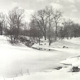 JOEL GREENBERG Central Park, 1978