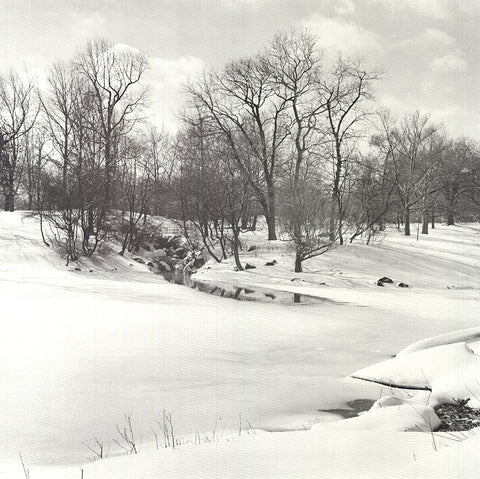 JOEL GREENBERG Central Park, 1978