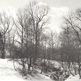 JOEL GREENBERG Central Park, 1978