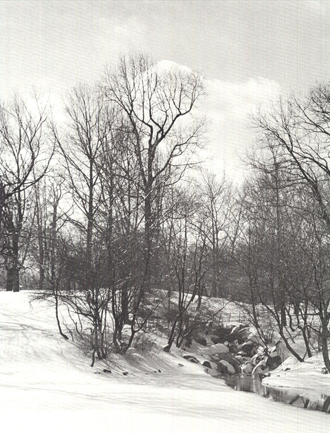 JOEL GREENBERG Central Park, 1978