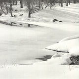 JOEL GREENBERG Central Park, 1978