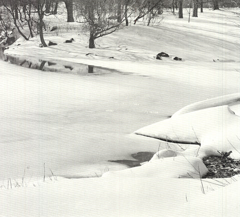 JOEL GREENBERG Central Park, 1978