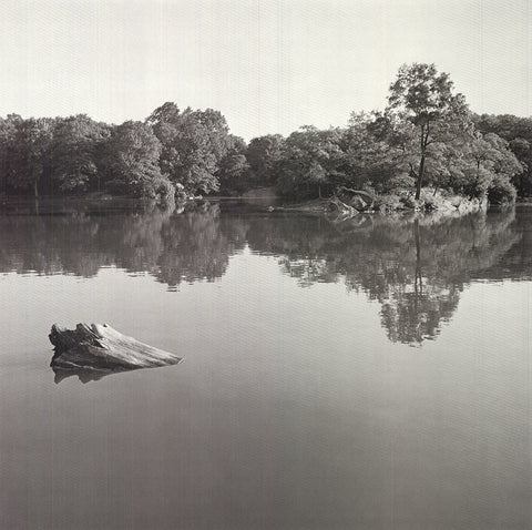 JOEL GREENBERG Central Park, 1978