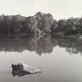 JOEL GREENBERG Central Park, 1978