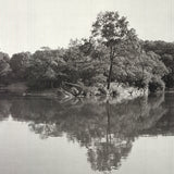 JOEL GREENBERG Central Park, 1978