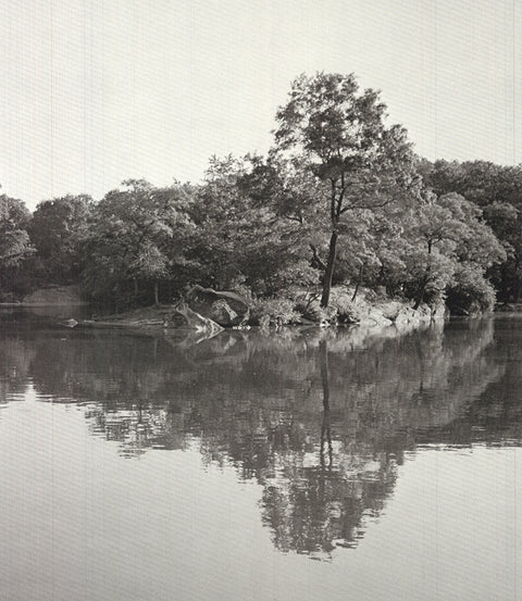 JOEL GREENBERG Central Park, 1978