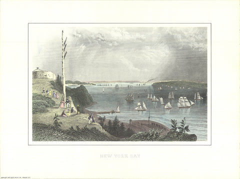 W.H. BARTLETT New York Bay from the Telegraph Station, 1994