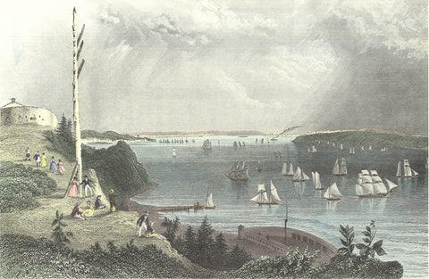 W.H. BARTLETT New York Bay from the Telegraph Station, 1994