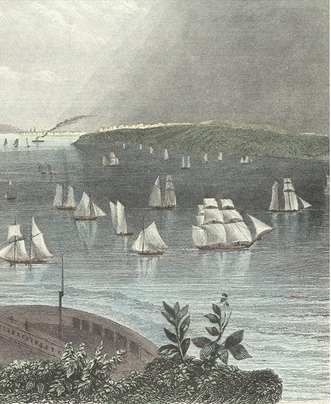 W.H. BARTLETT New York Bay from the Telegraph Station, 1994